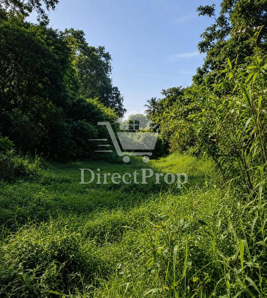 Dijual tanah Tigaraksa