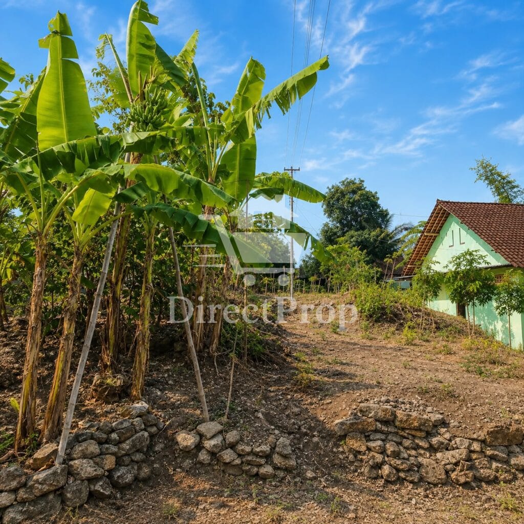 Dijual tanah di Wonogiri