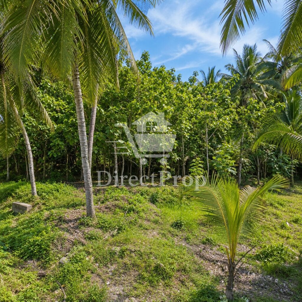 Dijual Tanah Luas di Kulon Progo