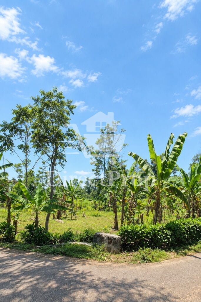 Dijual tanah di Purwakarta