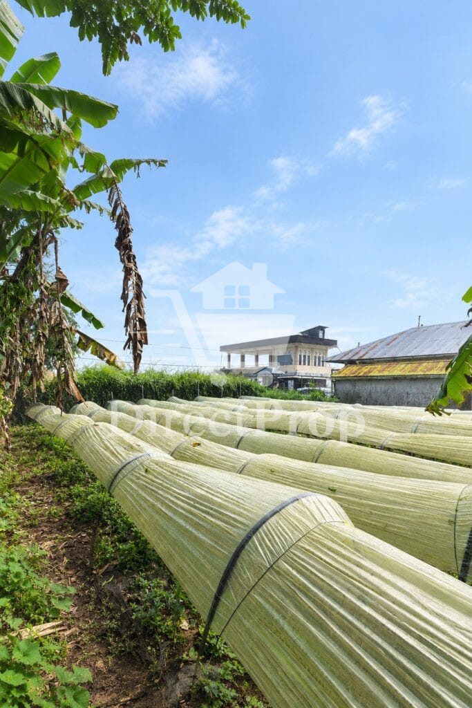 jual tanah lokasi emas di bali