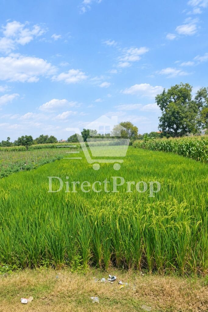 Dijual tanah di Gresik