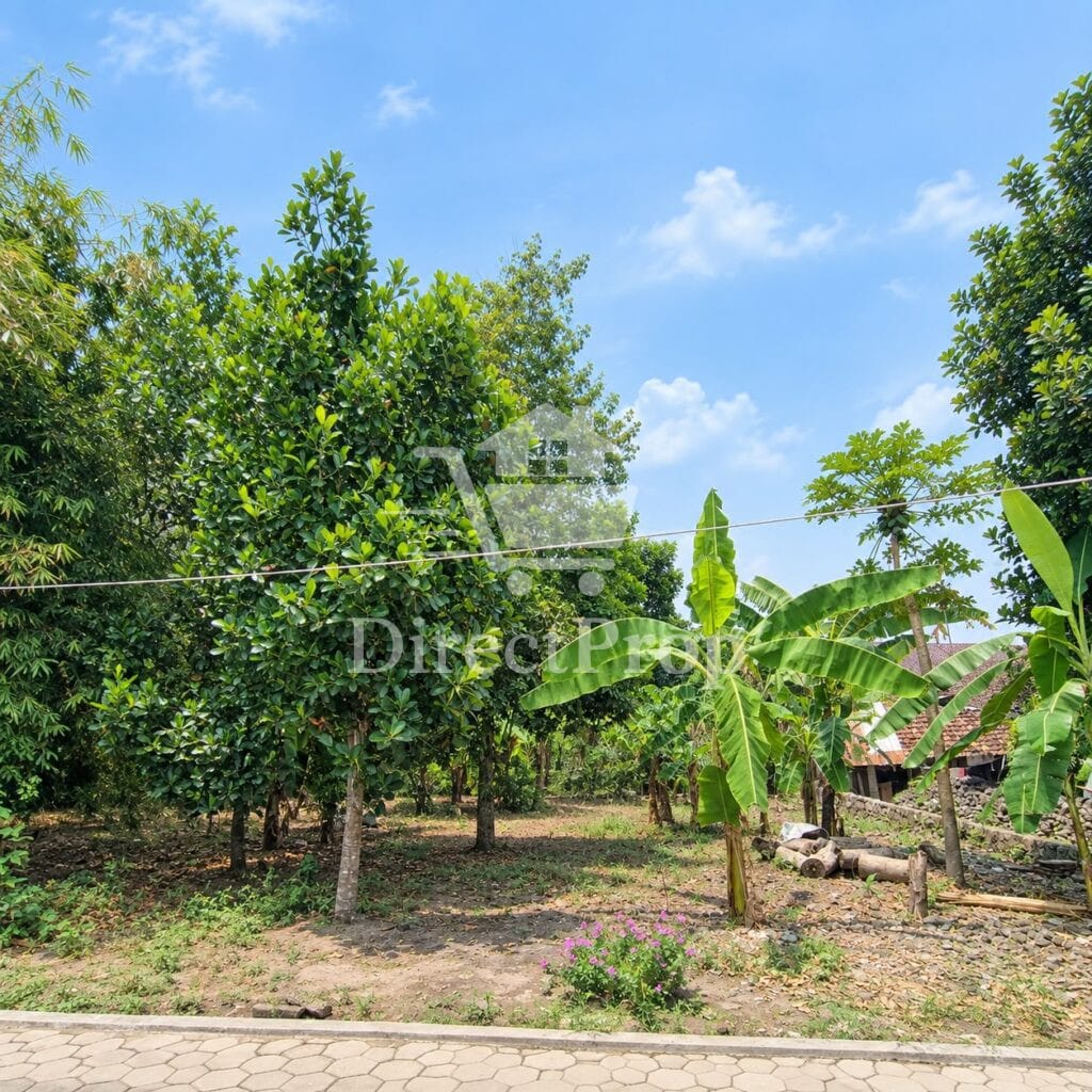 Dijual tanah di Depok Sleman