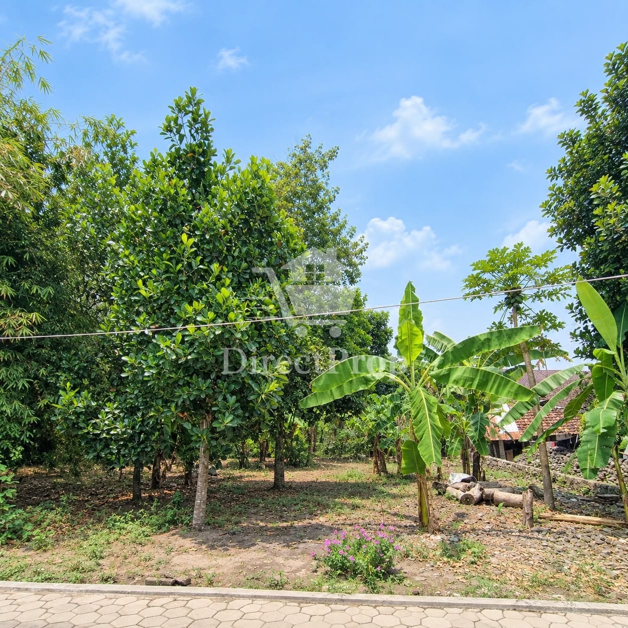 Dijual Tanah View Sawah Asri Dekat Perumahan Dosen UPN di Maguwoharjo, Sleman